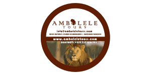 Ambolele Tours logo